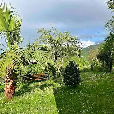 Sweet Dacha * Trabzon